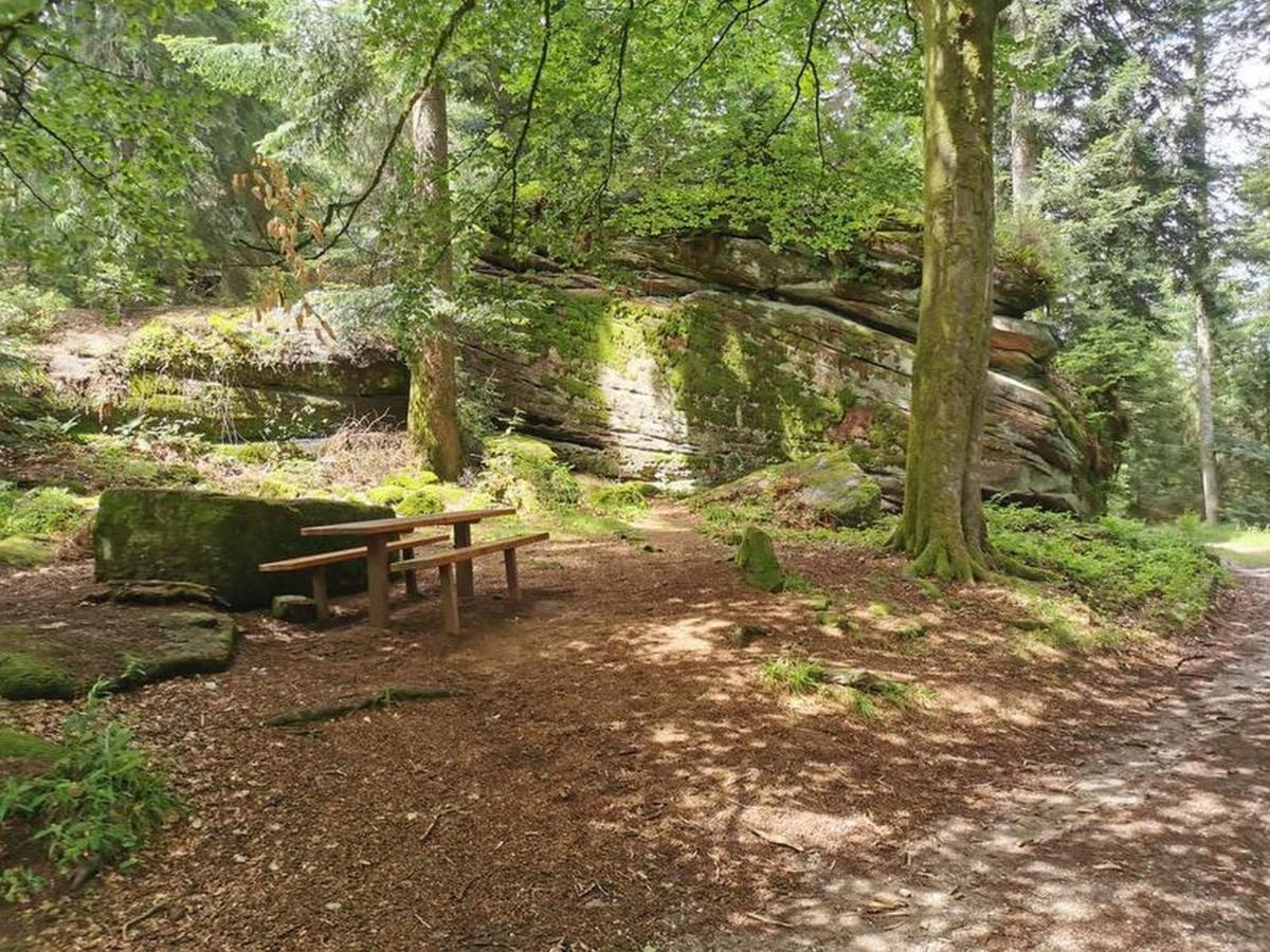 Ferienwohnung Schoener Oberharmersbach Exterior foto